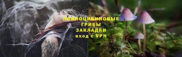 ешки Бронницы