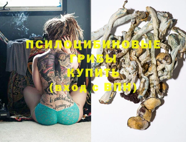 PSILOCYBIN Богородицк