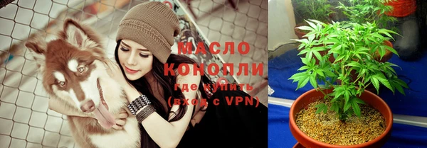 спиды Бородино