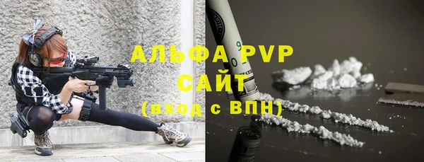 спиды Бородино